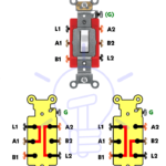 ¿Cómo cablear un interruptor bipolar y bipolar? Cableado DPDT